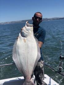 Haibut / striped bass yes !!!