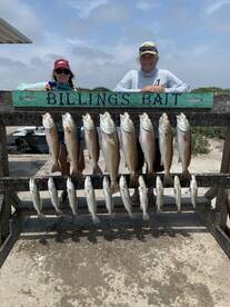 Corpus Christi Report Photo 2