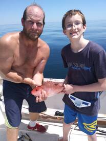 Niceville Report Photo 2