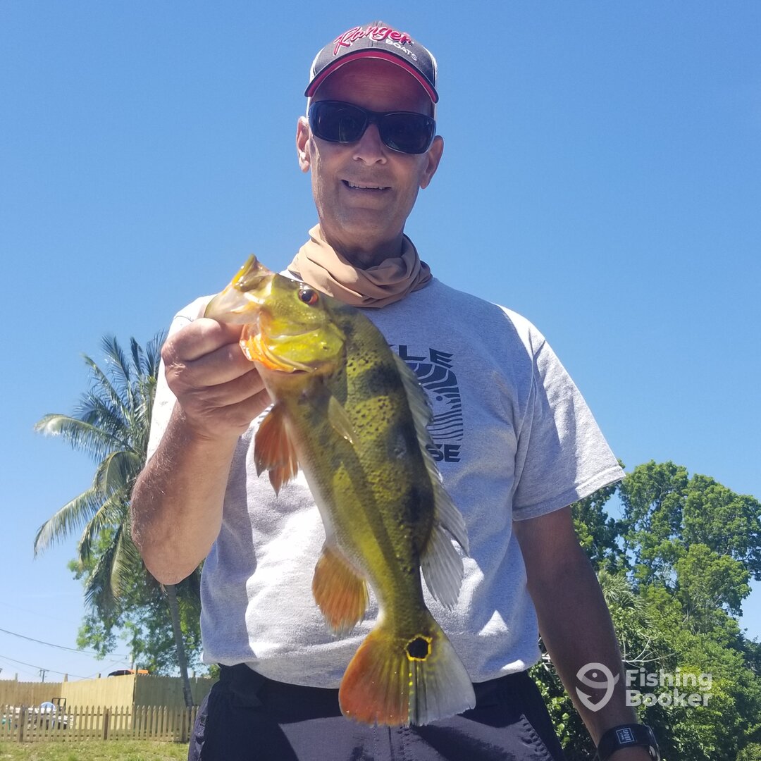 Bonita Springs Report Photo 0