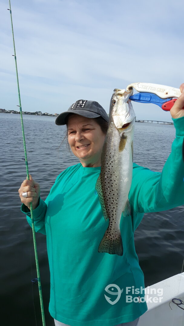 Nice trout
