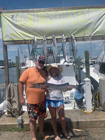 Dania Beach Report Photo 2