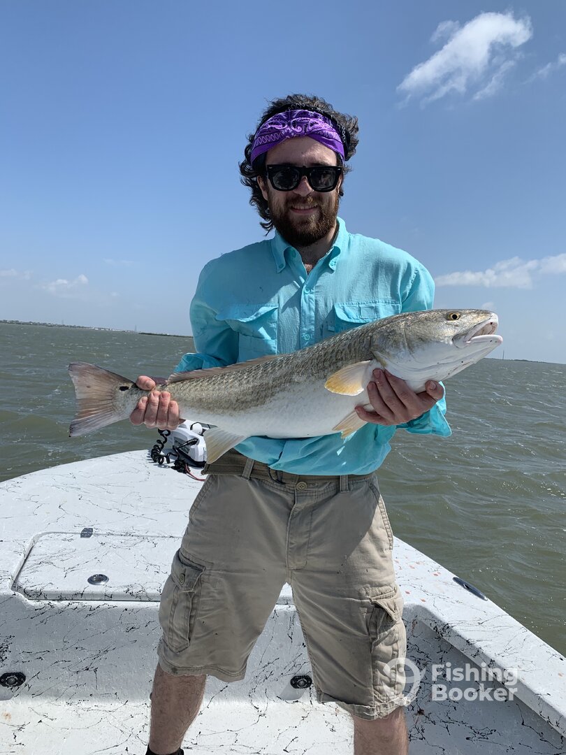 Corpus Christi Report Photo 0