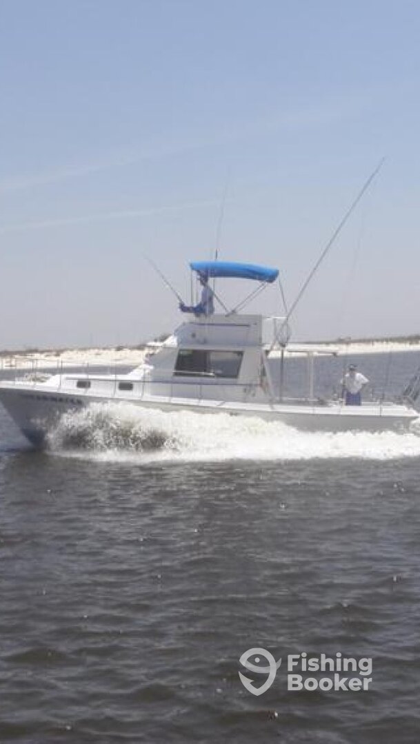 Biloxi Report Photo 0