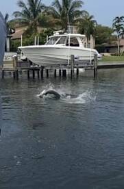 Sarasota Report Photo 2