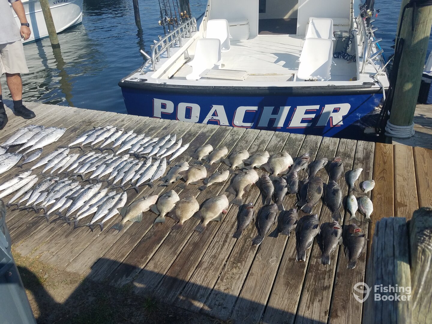 Nags Head Report Photo 0