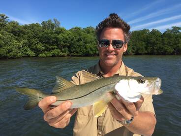 Sarasota Report Photo 2