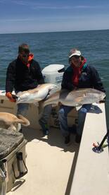 Poquoson Report Photo 1