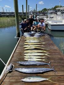 Surprise Yellowfin Tuna 