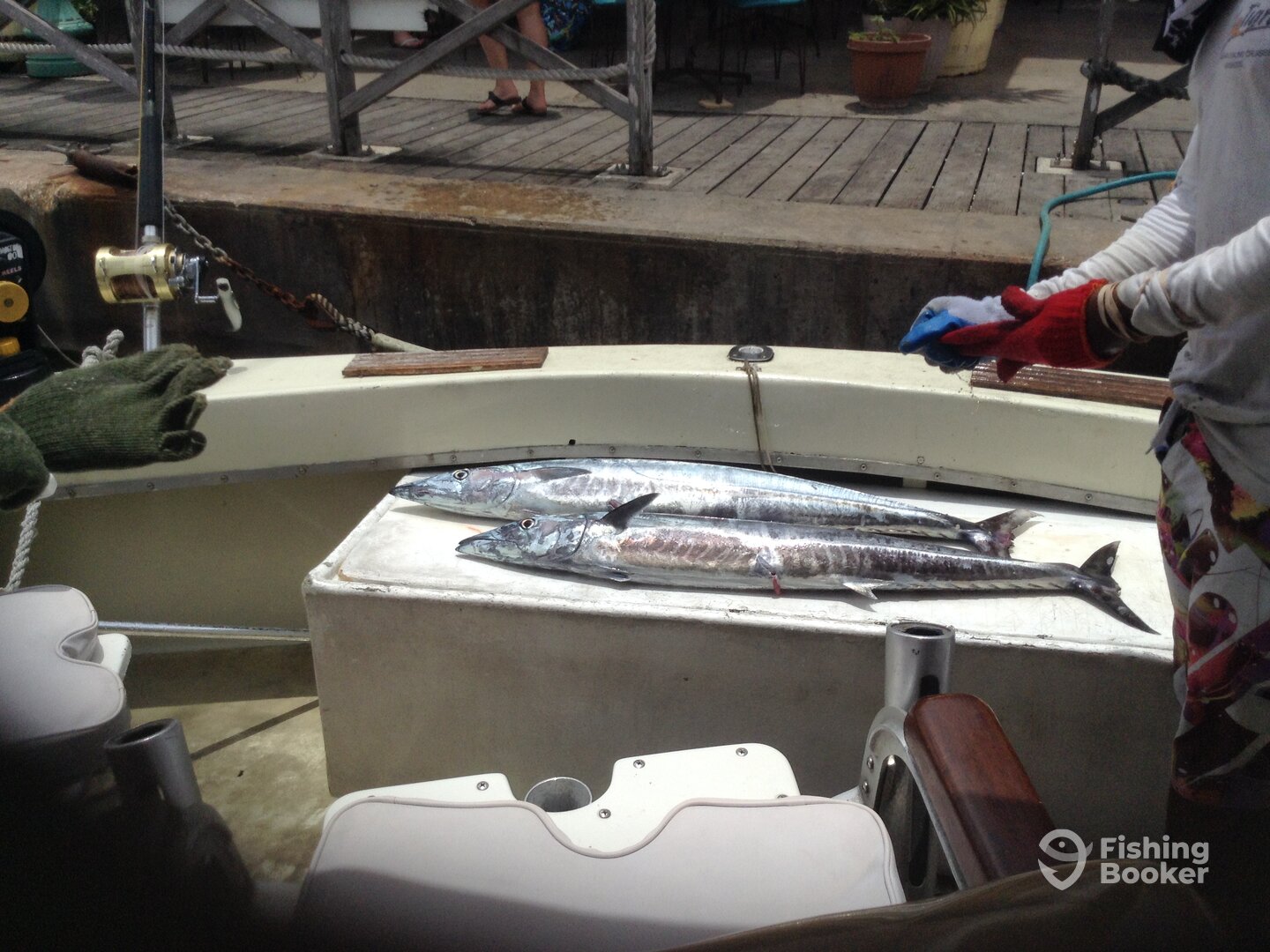 Bridgetown Report Photo 0