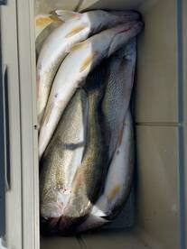 Sandusky Report Photo 2