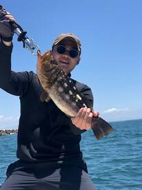 Local Half Day Trips 40-75 fish days!