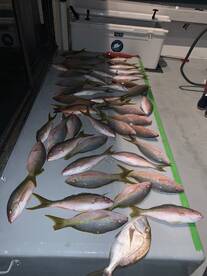 Dania Beach Report Photo 1