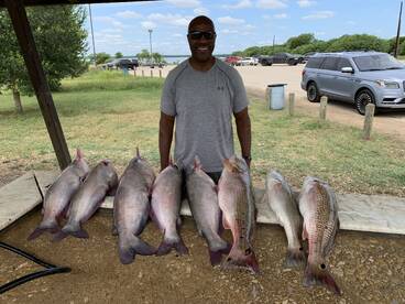 San Antonio Report Photo 2