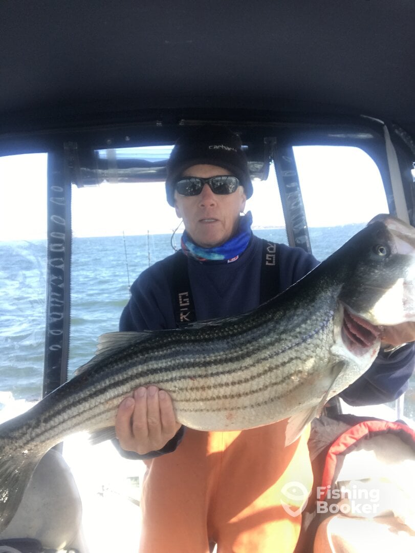 Highlands Report Photo 0
