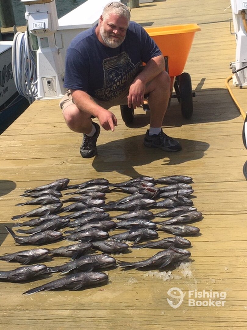 Ocean City Report Photo 0