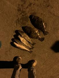 St. Helena Island Report Photo 1
