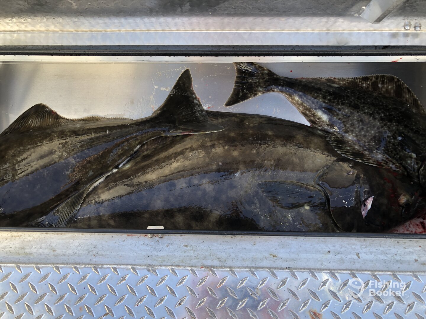 Coos Bay Report Photo 0