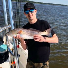 Mount Pleasant Report Photo 2