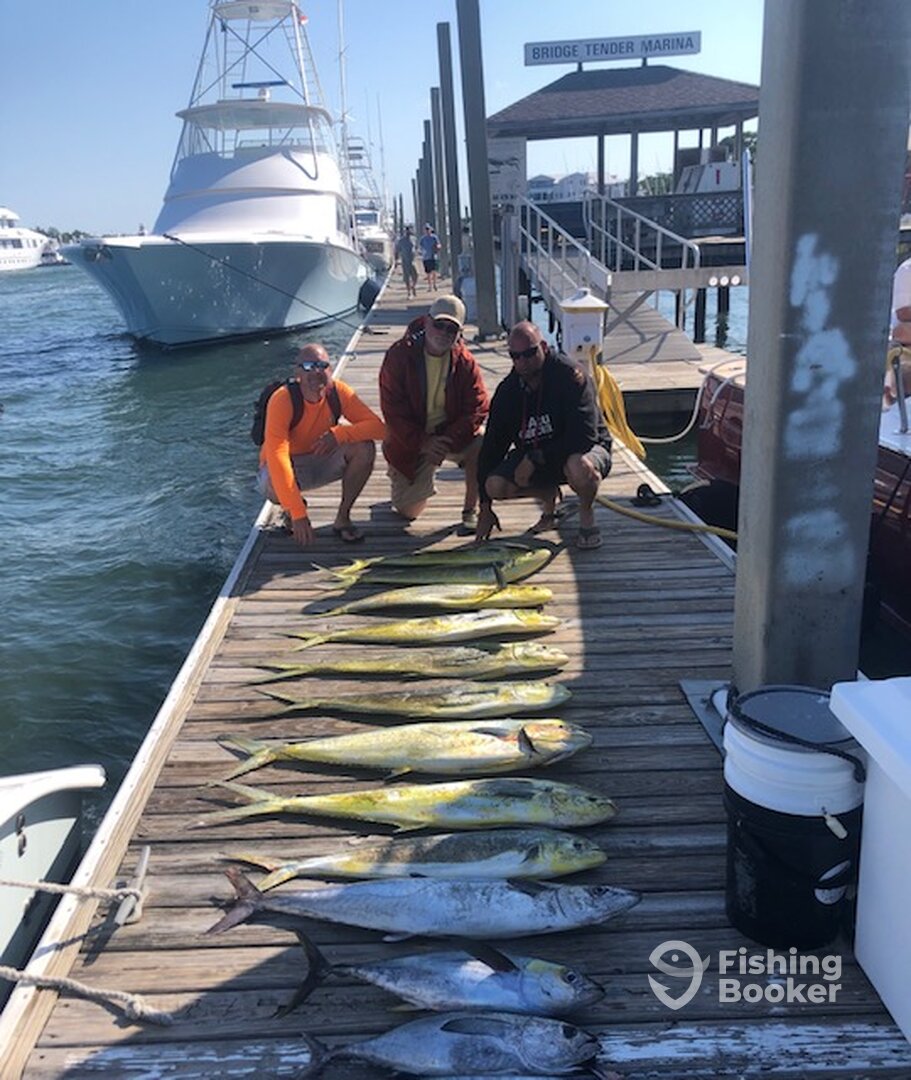 Wilmington Report Photo 0