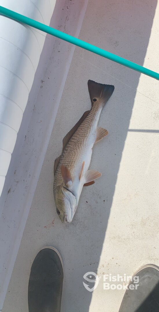 Bradenton Report Photo 0