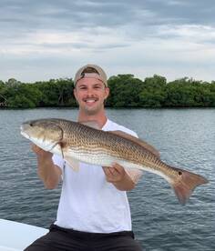 Bradenton Report Photo 2