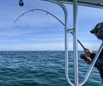 Wanchese Report Photo 2