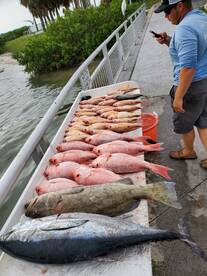 Clearwater Report Photo 1