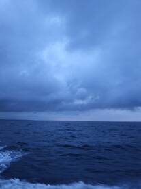 Coming across the bay in the early morning. Pic #1