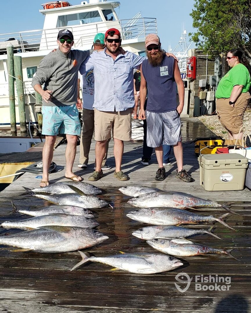 Manteo Report Photo 0