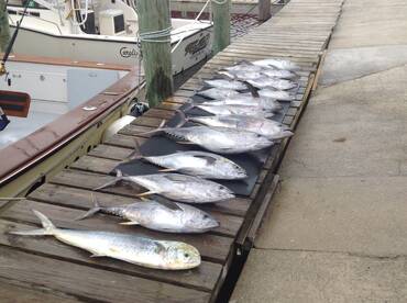 Wanchese Report Photo 1