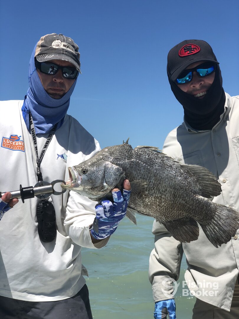 Everglades City Report Photo 0