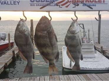 Speckled Trout & Reddfish