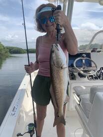 Great bite in tampa bay!