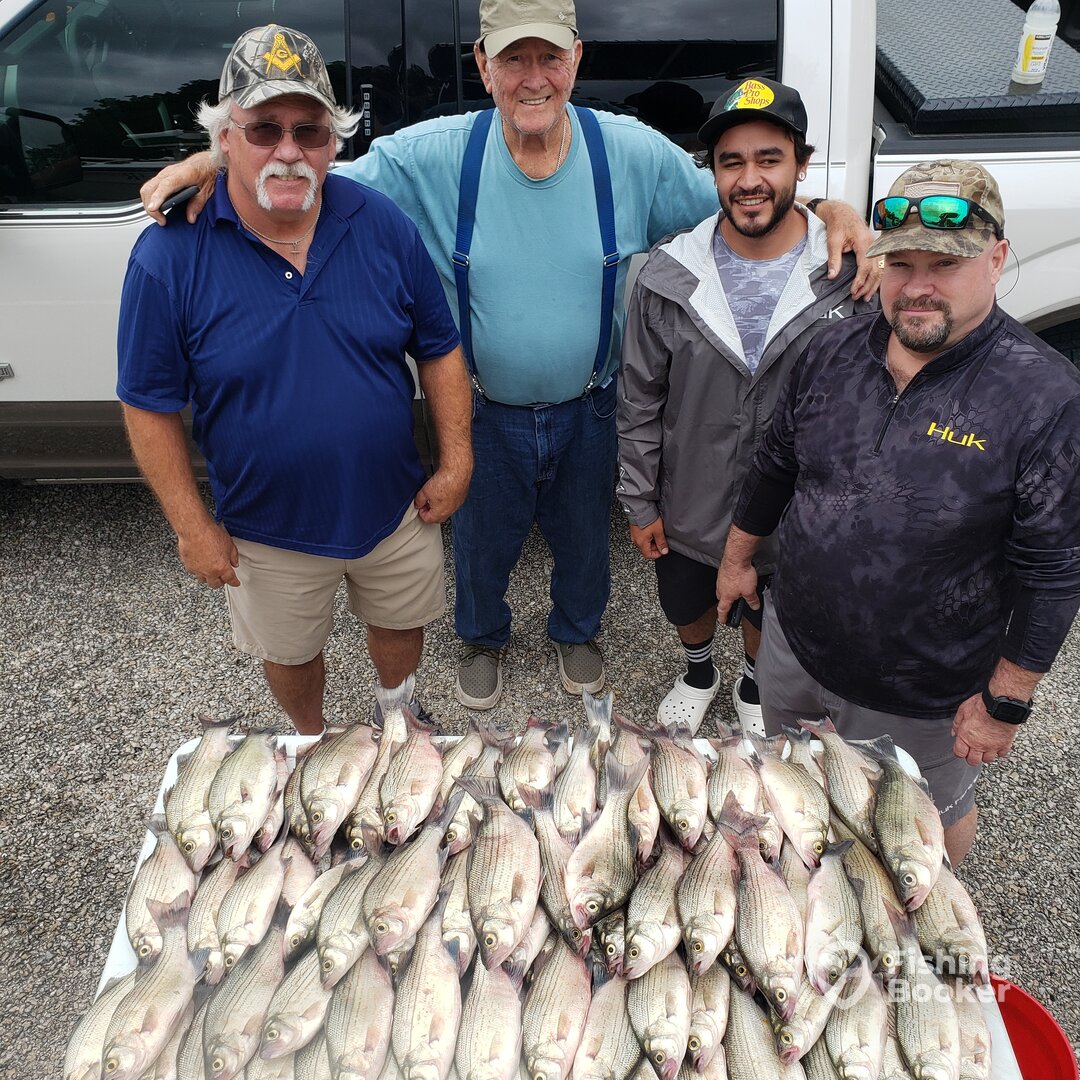 Lewisville Report Photo 0