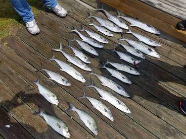 Nags Head Report Photo 2