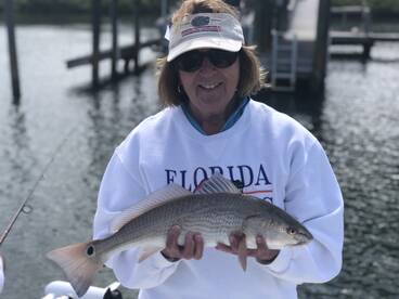 Sarasota Report Photo 2