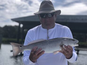 Sarasota Report Photo 1