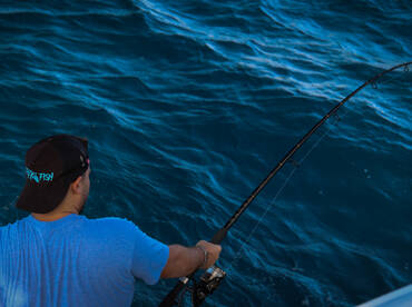 Adriatic Coast Report Photo 1