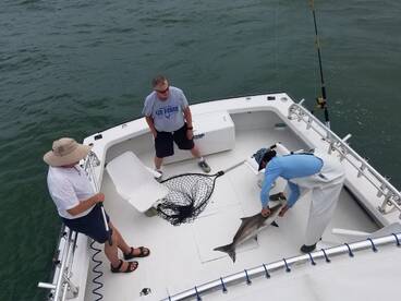 Nags Head Report Photo 2