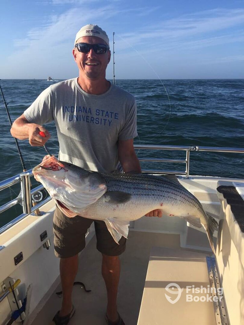Montauk Report Photo 0