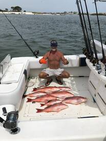 Red snapper