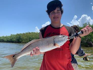 Port Charlotte Report Photo 1