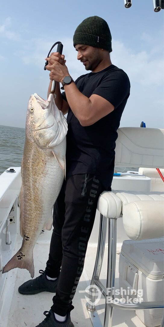 Galveston Report Photo 0