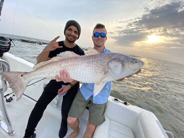 Galveston Report Photo 2
