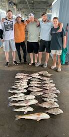 Galveston Report Photo 1