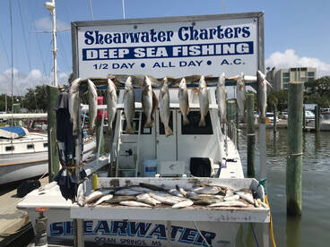 Biloxi Report Photo 1