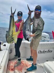 Mahi and yellowfin tuna