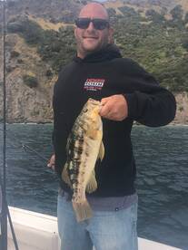 Catalina Calicos, Bonito and Barracuda