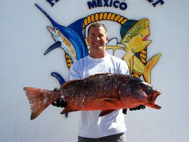 Great pargo